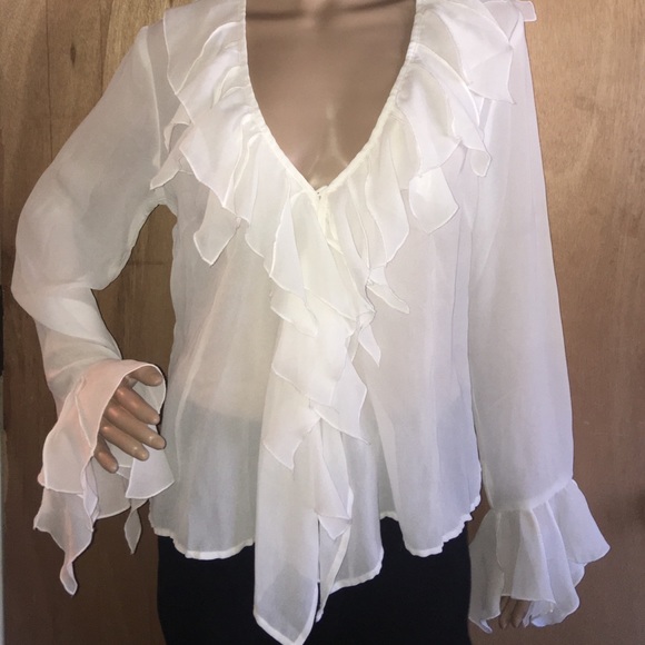 Gorgeous Sheer Ruffle Blouse - Picture 7 of 8